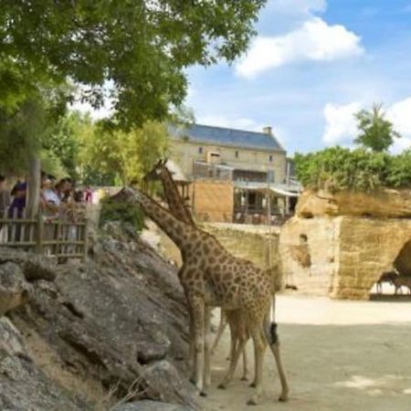 Maison 2-3 Pers Semi-Troglodyte Angers-Saumur Louresse-Rochemenier Экстерьер фото