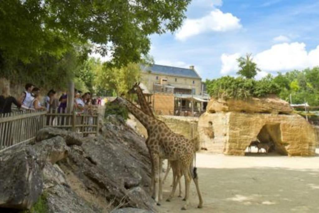 Maison 2-3 Pers Semi-Troglodyte Angers-Saumur Louresse-Rochemenier Экстерьер фото